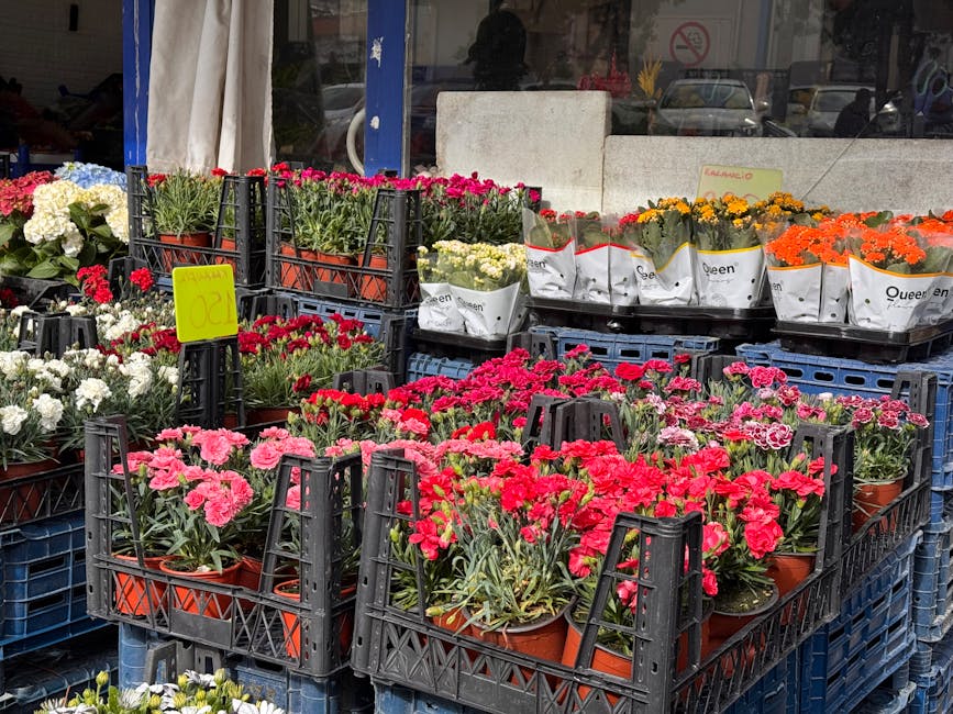 Outside flower shop display featuring a variety of potted flowers arranged in black plastic crates, including bright pink, red, white, yellow, orange, and purple blooms. The flowers are fresh, with vi