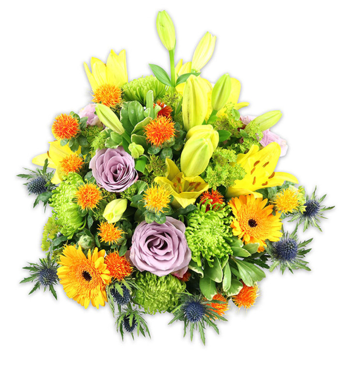 A richly textured, densely packed floral arrangement sits against a pristine white background, each botanical element carefully placed to balance colour, form, and mood. The composition is anchored by several sunny yellow Asiatic lilies - some bursting open to reveal speckled interiors and pollen-tipped stamens, others still elegantly furled and reaching skyward - which create height and a sense of expectancy. Two soft lavender-purple roses occupy a central, calming position, their velvety petals unfolding in tight spirals that invite quiet admiration and lend a classic, fragrant touch. Radiant orange Gerbera daisies fan across the mass with bold, flat petals and darker centres, projecting warmth and cheer. Generous clusters of lime-green button chrysanthemums build plush, almost moss-like volume that makes the bouquet feel luxuriously full. Scattered throughout are small, spiky orange and golden-yellow orb flowers that offer playful texture and lively accents. Striking blue-grey sea thistles (likely Eryngium) rise from the sides and lower planes, their sculptural bracts and steely hues creating a cool, modern counterbalance to the predominantly warm palette. Varied green foliage - broad, glossy leaves and smaller textured fillers - frames the arrangement and enhances its natural look. As a local take from Flowers Upper Clapton, this bouquet would suit celebrations on Upper Clapton High Street, an anniversary dinner near Brownswood Park, or as a comforting, colourful tribute; it reads as both joyful and considered, the work of an experienced neighbourhood florist mindful of scent, longevity, and presentation.