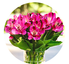 Same day Flowers Upper Clapton